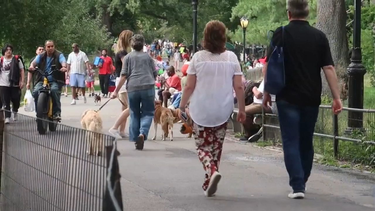Dog fatally stabbed after dispute in Central Park police